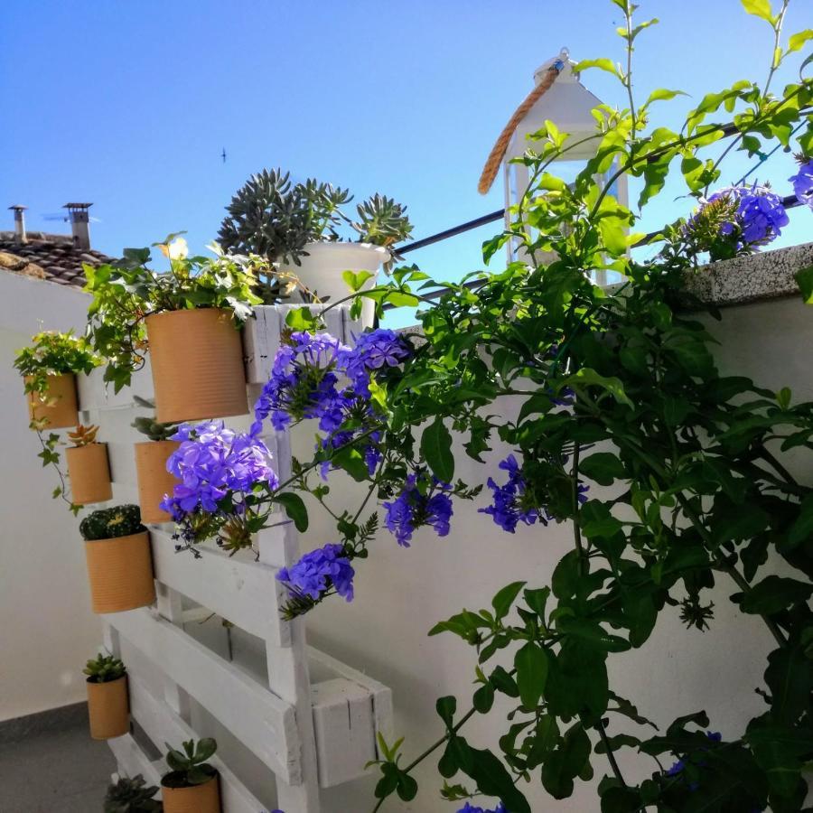 B&B Porta Girone 奇维塔诺瓦阿尔塔 外观 照片